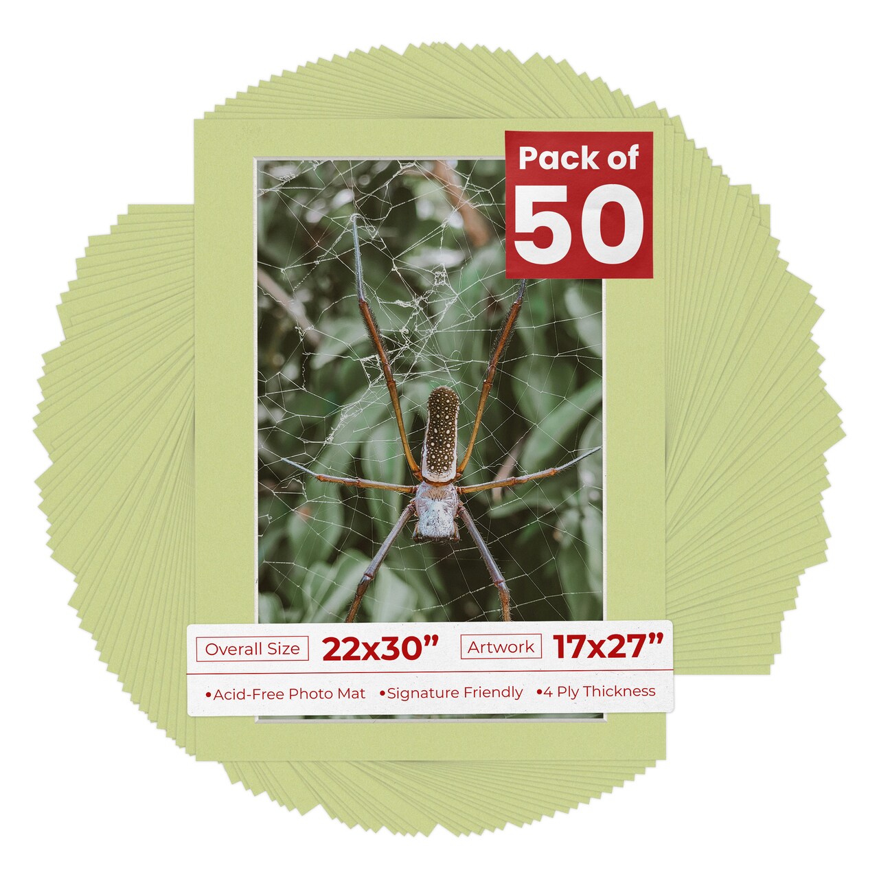 Pistachio Green Mat Board for 22x30 Frames - Fits 17x27 Photos